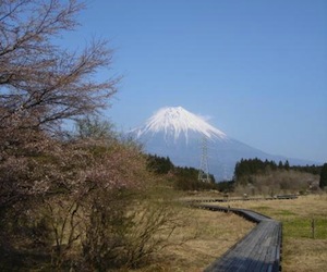 小田貫湿原から富士山の写真