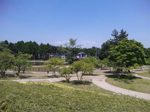 桜公園の写真