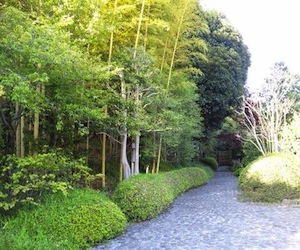 竹採公園の写真