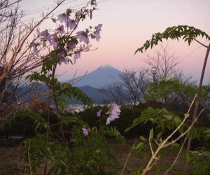 日本平からの富士山の写真