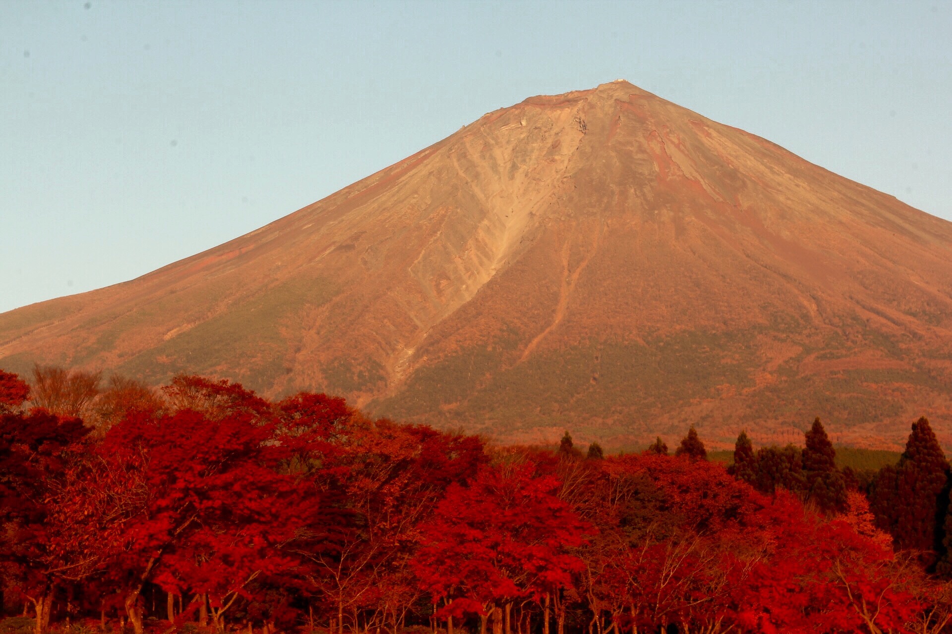 富士桜自然墓地公園からの紅葉と富士山の写真
