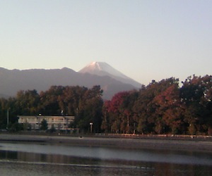 門池公園から富士山の写真