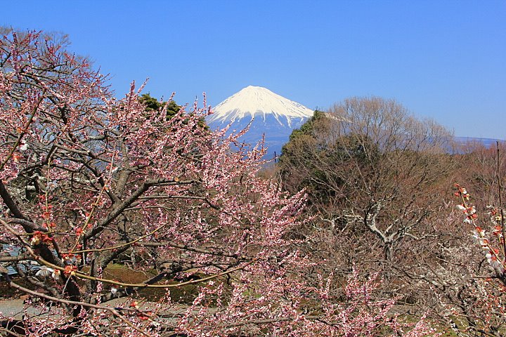 岩本山公園からの富士山写真