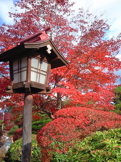 富士ビューホテルと紅葉の写真
